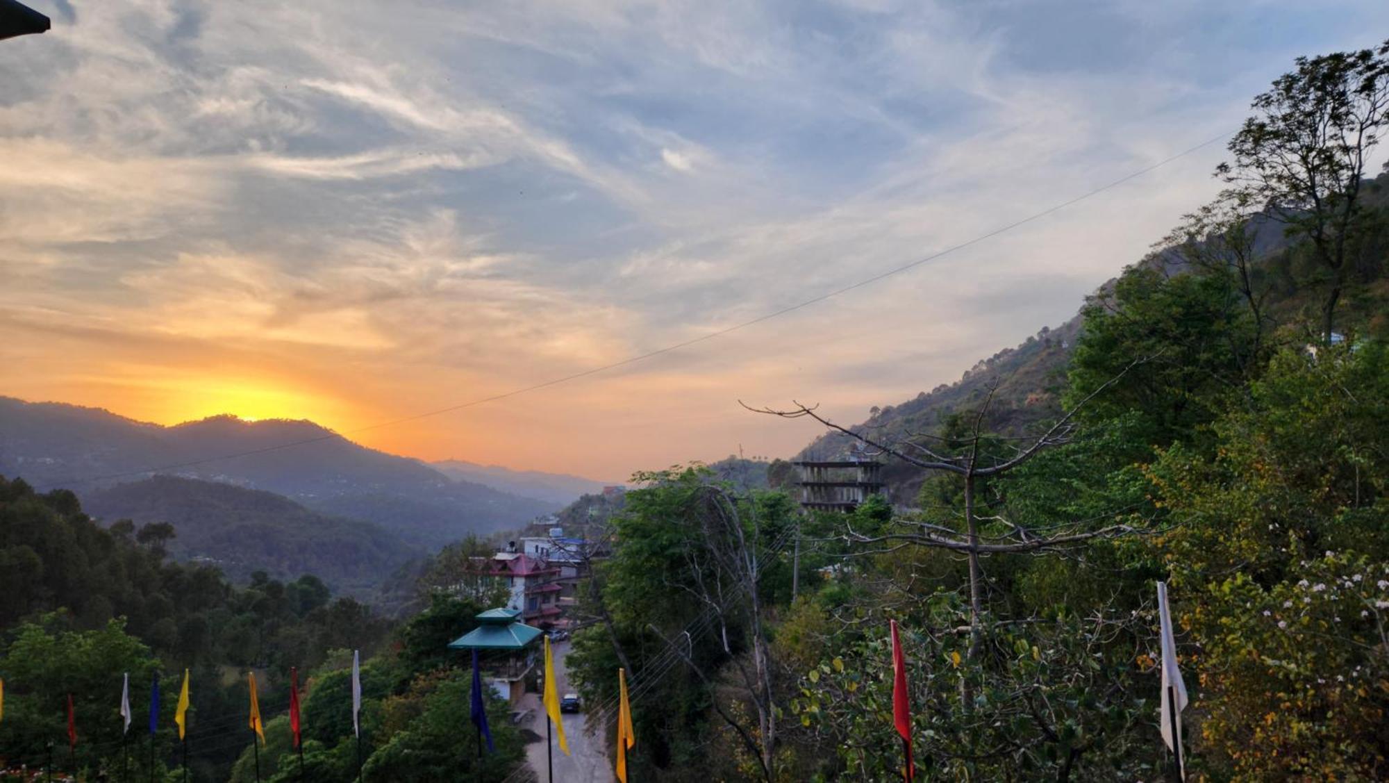 Hotel Royal Ark - Kasauli Εξωτερικό φωτογραφία